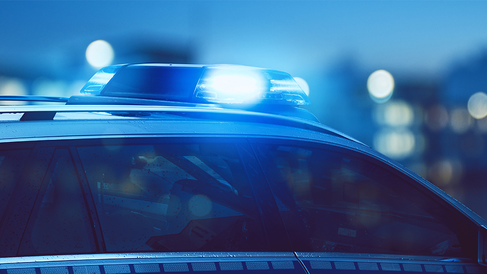 Homeland and Policing